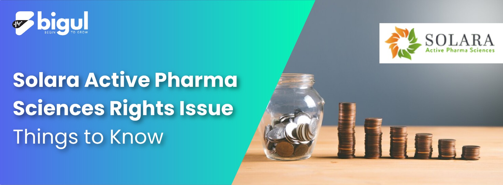 Solara Active Pharma Sciences Rights Issue: Things To Know